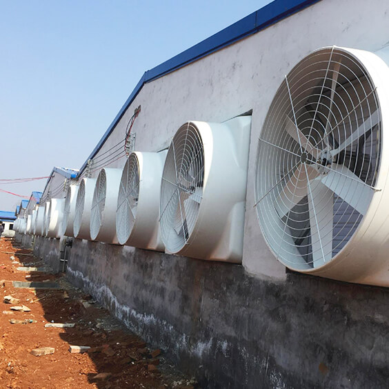 河南某肉業(yè)集團豬舍通風(fēng)案例